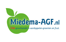 miedema logo
